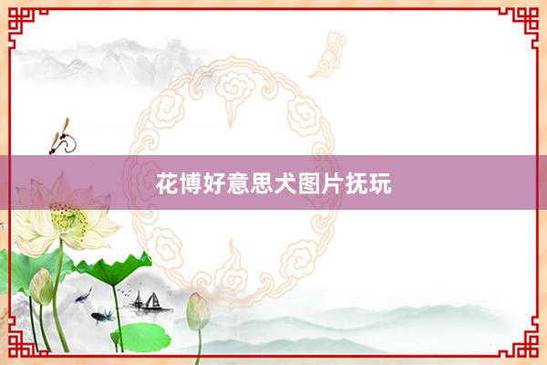 花博好意思犬图片抚玩