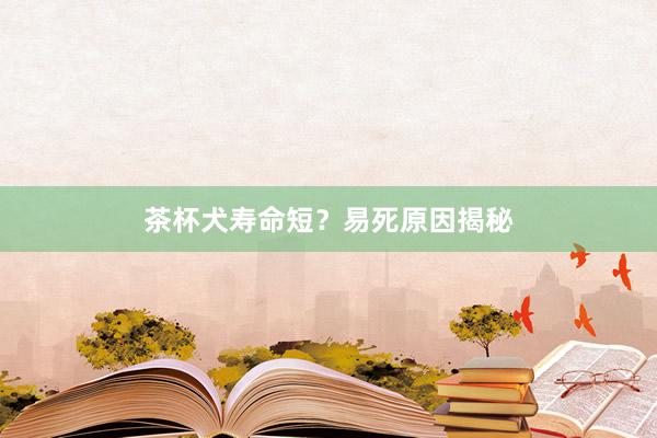 茶杯犬寿命短？易死原因揭秘