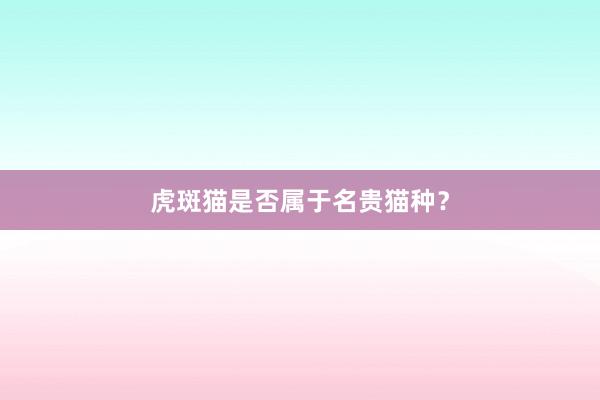 虎斑猫是否属于名贵猫种？